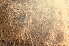 Bales Of Straw Are Illuminated By The Sun. Dry Hay On A Summer Day.Natural Background