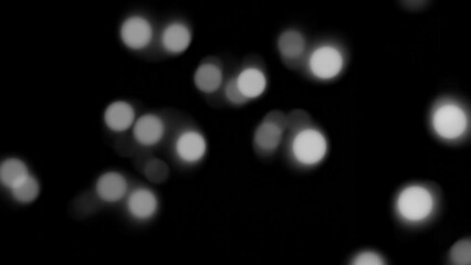 Poster - bokeh effect 3d animation abstract background looping animation 4k resolution grey circle in black background