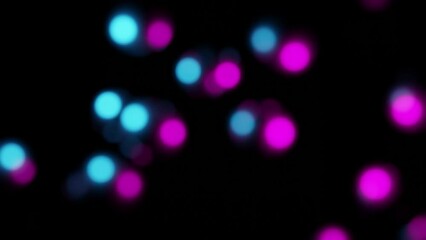 Poster - bokeh effect 3d animation abstract background looping animation 4k resolution neon colored circle in black background