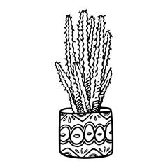 Wall Mural - cactus house plant and flower in pots hand drawn illustration