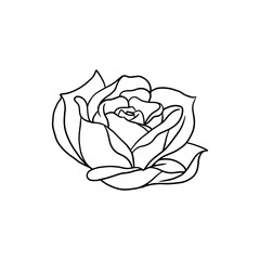 Wall Mural - Rose flower hand drawn line art illustration design element