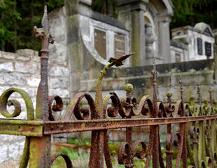 renovation of damaged, broken and stolen tombstones. pre-war runic letters with the names of the dead. rusty and green oxidized grids and lanterns, the collectors of precious metals cut and sold