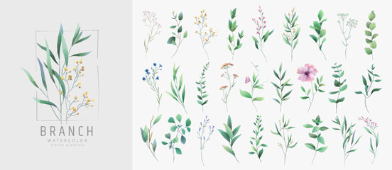 Wall Mural - Set of luxury green leaves and flowers elements in watercolor style. Aquarelle trendy greenery branches and blooming. Vector isolated on white background for Invitation, greeting