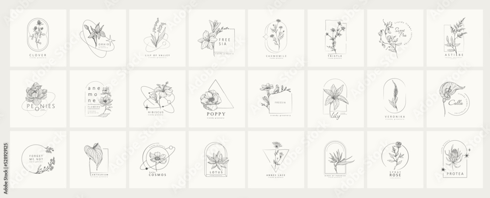 Set of minimal feminine botanical floral frame or logo with trendy ...