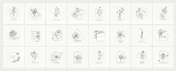 Wall Mural - set of minimal feminine botanical floral frame or logo with trendy flowers. hand drawn wedding herb,