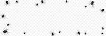 Vector Spiders On An Isolated Transparent Background. Background With Spiders For Design. Spiders PNG. Halloween Spiders PNG. Background For Halloween.