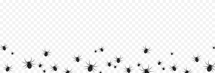 Vector spiders on an isolated transparent background. Background with spiders for design. Spiders PNG. Halloween spiders PNG. Background for Halloween.