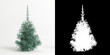 © TrngPhp - 3d illustration of Picea pungens baby blue eyes tree isolated on white and its mask
