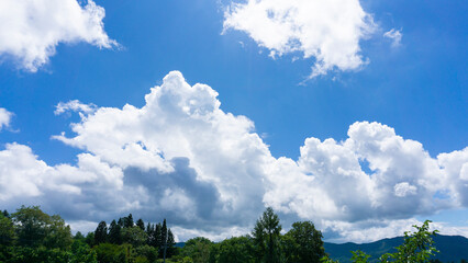 Wall Mural - 青空と雲