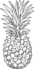 Wall Mural - Pineapple sketch. Hand drawn tropical fruit engraving