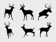 © DANI - deer silhouette set, Graphic black silhouettes of wild deerS