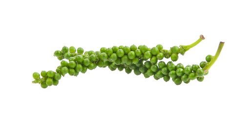 Canvas Print - Fresh green peppercorns isolated on transparent png