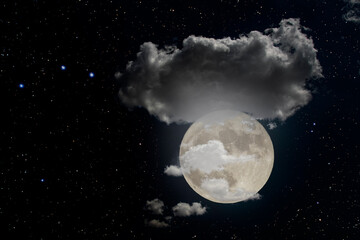 Wall Mural - full moon night