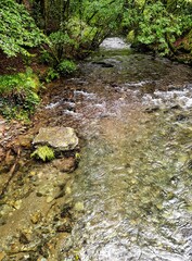 Wall Mural - River Lyd - Lydford Gorge, Dartmoor National Park, Devon, United Kingdom