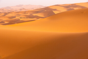  Beautyful Sahara desert at Morrocco