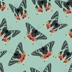 Wall Mural - Vector pattern with high detailed tropic butterfly