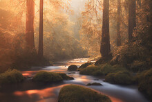 Peaceful River Flowing Through Redwood Forest With Morning Light And Dappled Sunshine In Autumn.