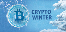 Bitcoin With Ice And Snow And Snow-covered Branches In Crypto Winter
