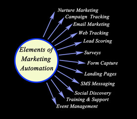Wall Mural -  Twelve Elements of Marketing Automation .