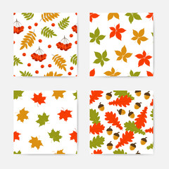 Wall Mural - Collection of autumn seamless patterns with bright colorful leaves