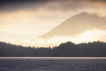 Tofino, Vancouver Island, British Columbia, Canada. View of Canadian Mountain Landscape on the West Coast of Pacific Ocean. Nature Background. Sunset Sky.