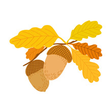 Acorn, Oak Tree Seed And Leaves Branch, Simple Hand Drawn Flat Style Vector Illustration, Autumn Fall Design Element, Thanksgiving Holiday Celebration, Harvest Time Concept, Decor