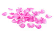 © New Africa - Many pink rose petals on white background
