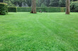 Beautiful freshly cut green lawn in park