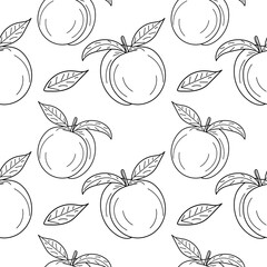 Wall Mural - Linear Peach seamless pattern. Apricot Seamless pattern, background for print. hand drawing Peach background. vector illustration.