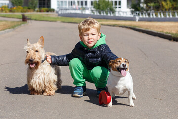 A blond boy 4 years old in a black jacket and green trousers hugs, talks and plays with two dogs a Scottish terrier and a Jack Russell terrier. In the city on an autumn day.