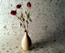 Withered Red Roses In A Vase