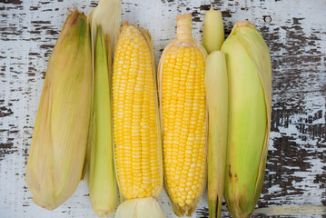 Wall Mural - Yellow Sweet corn on wood  background , Yellow Corn, sweet corn, healthy organic food, bio nutrition