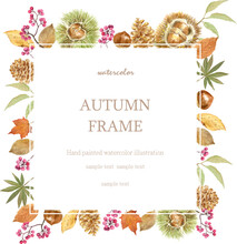 Watercolor Square Outer Frame With Autumn Image.
Autumn Leaves, Chestnuts And Pinecone.
