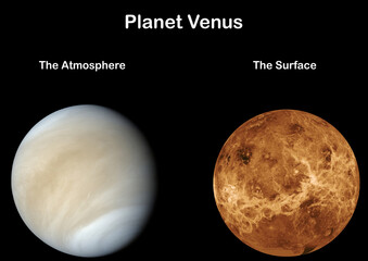 Wall Mural - planet venus the atmosphere and the surface. elements of this image were furnished by nasa.