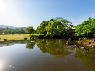 Canvas Print - 奈良公園春日野園地の三社託宣池の風景