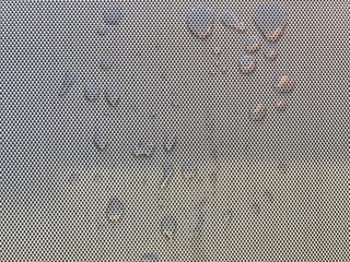 Poster - Water drops on a gray woven surface