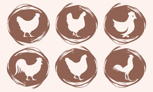 Six Chicken Silhouette. A Set Of A Chicken Silhouette