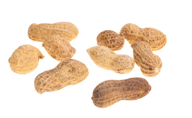 Poster - peanut in shell isolated