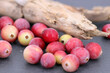Gesund durch den Winter - Nahaufnahme von frisch geernteten Cranberrys