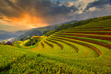 Rice Fields On Terraced Of Mu Cang Chai, YenBai, Vietnam. Vietnam Landscapes.