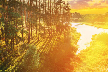 Wall Mural - Aerial View Of Pine Forest And River. Elevated View Of Woods Forest River Landscape During Sunset In Autumn Evening. Sun Sunlight Through Woods And Trees In Autumn Forest Landscape.