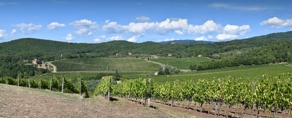 Wall Mural - Beautiful landscape of Vineyards in Tuscany with blue sky. Chianti region in summer season. Harvest period, Italy.