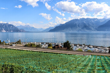 Wall Mural - Chexbres - Lavaux vineyards on terraces, UNESCO World Heritage Site, Lake Geneva shore, Lac Leman. One of Switzerland's best-known and most fascinating wine-growing regions.