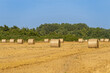 Round bales of straw in endless field after harvesting wheat. Blurred background. Selective focus. Close-up. Straw bales lie in disarray under the sun in field. Nature concept for design.