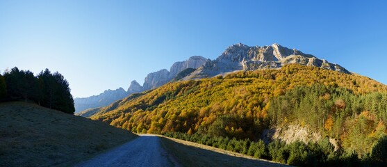 Sticker - Autumn forest in the Pyrenees