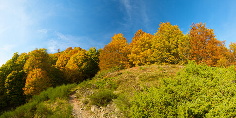 Sticker - Autumn in the Pyrenees