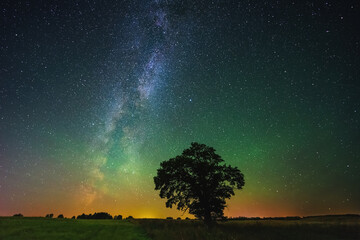 Wall Mural - Night landscape with colorful Milky Way and an Oak tree