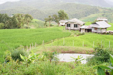 Poster - house on the river