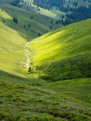 Poster - Beautiful vertical view of a green hillside