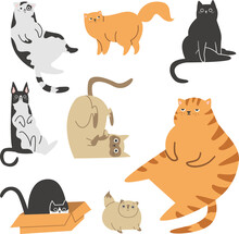 Cute Vector Illustration. Different Cats On White Background. Siamese, Persian, Red And Striped Cats. Cute Fat Cats. A Kitten Hiding In A Box 